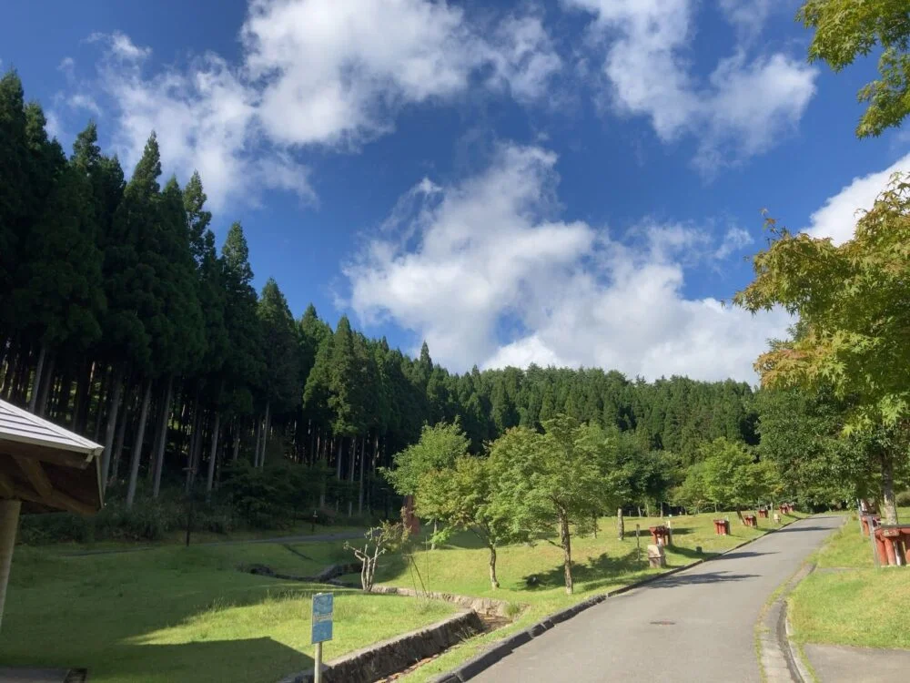 草原サイト周辺の森林