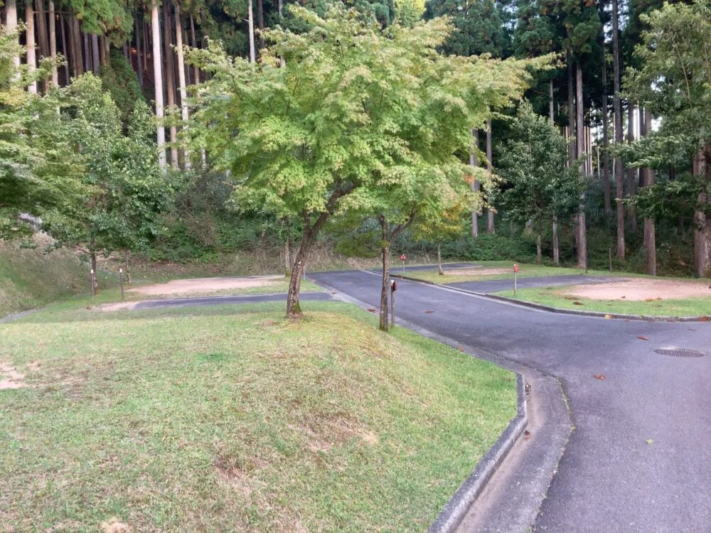 森のエリア（Fサイト）