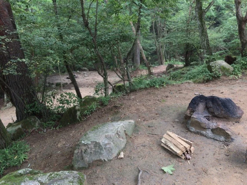 自然の森ファミリーオートキャンプ場のサイト