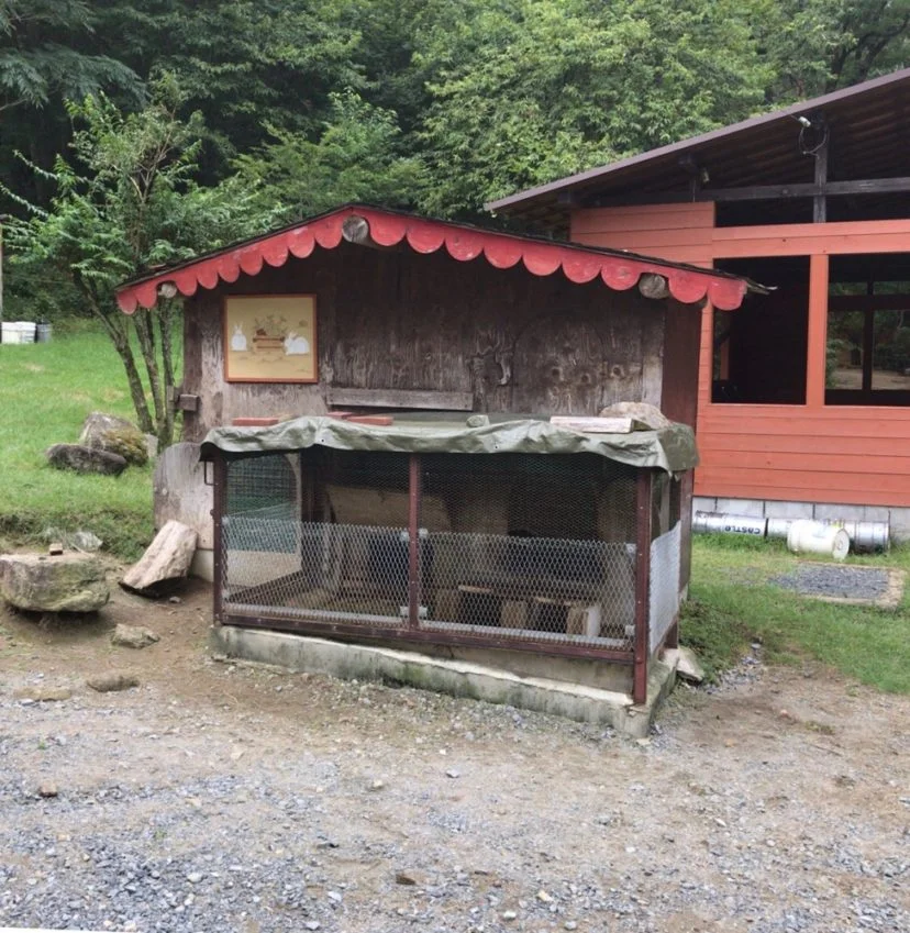 自然の森ファミリーオートキャンプ場のうさぎ小屋